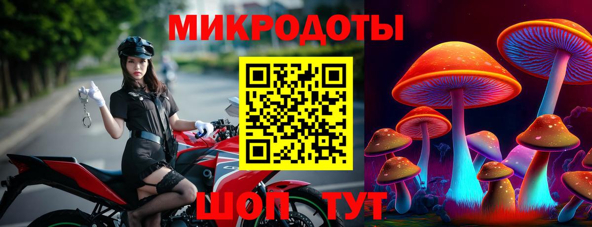 Псилоцибиновые грибы прущие грибы Абинск