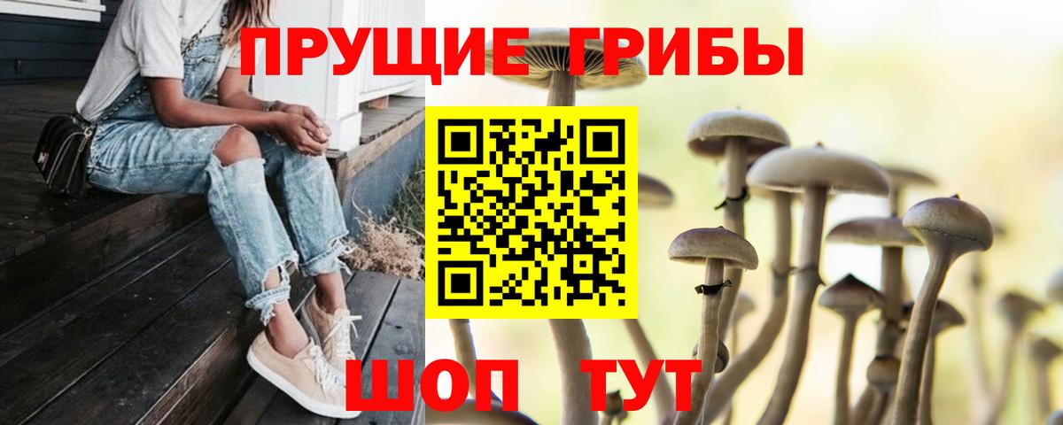 Галлюциногенные грибы мухоморы  Вход с VPN  Абинск 